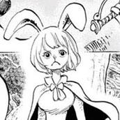 carrot 9/10 smoochies