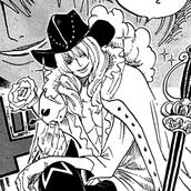 cavendish 10/10 pretty boy